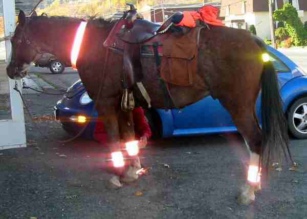 Reflective leg wrap for Horses set of 4 - equestrian legwrap/Horse-reflective-leg-wrap.JPG