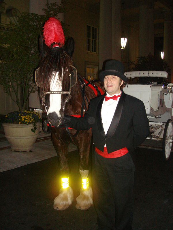 Reflective leg wrap for Horses set of 4 - equestrian legwrap/Reflective-horse-leg-rap-carriage-1.jpg